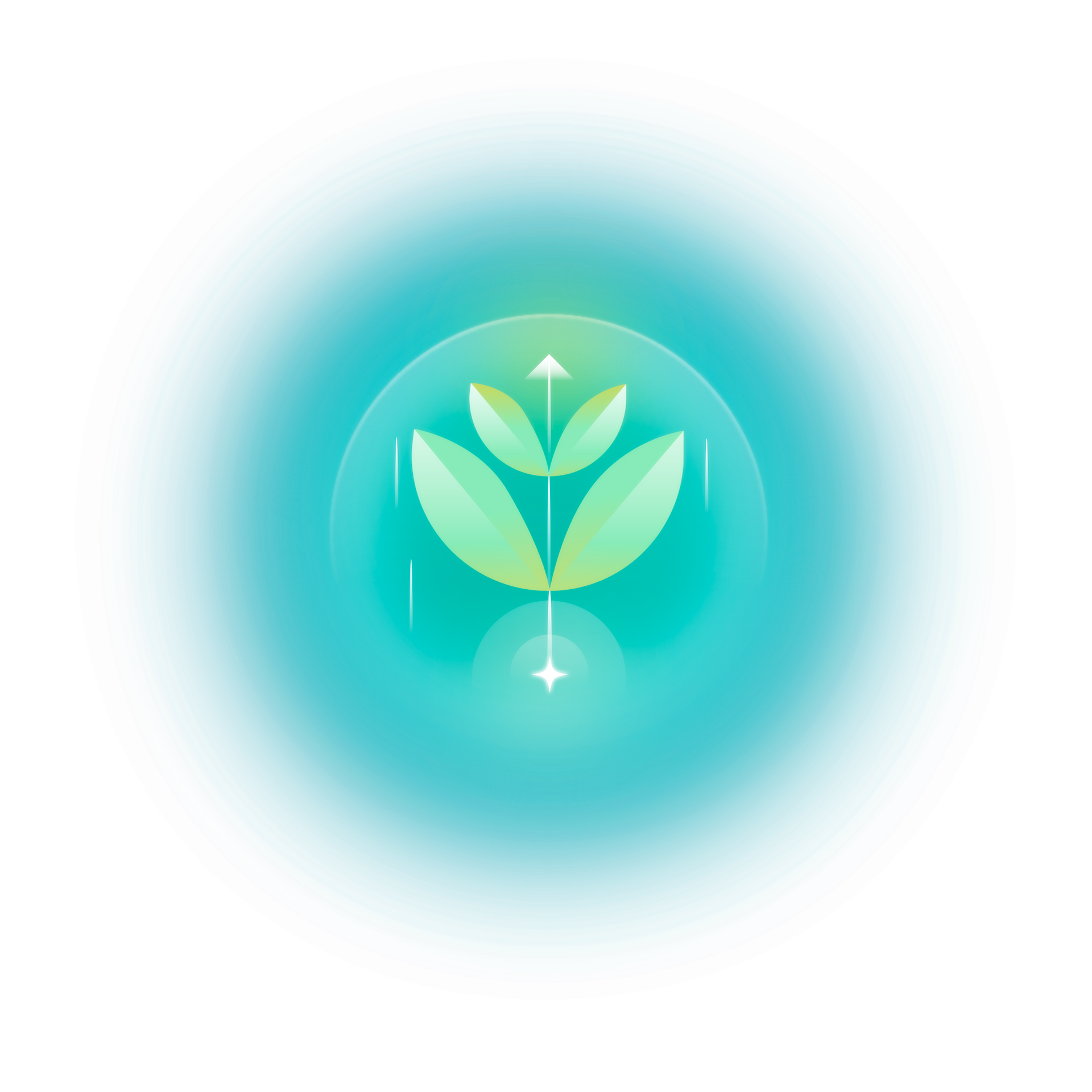Manifest Image